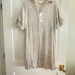 Everly Glittering Silver Mini Dress